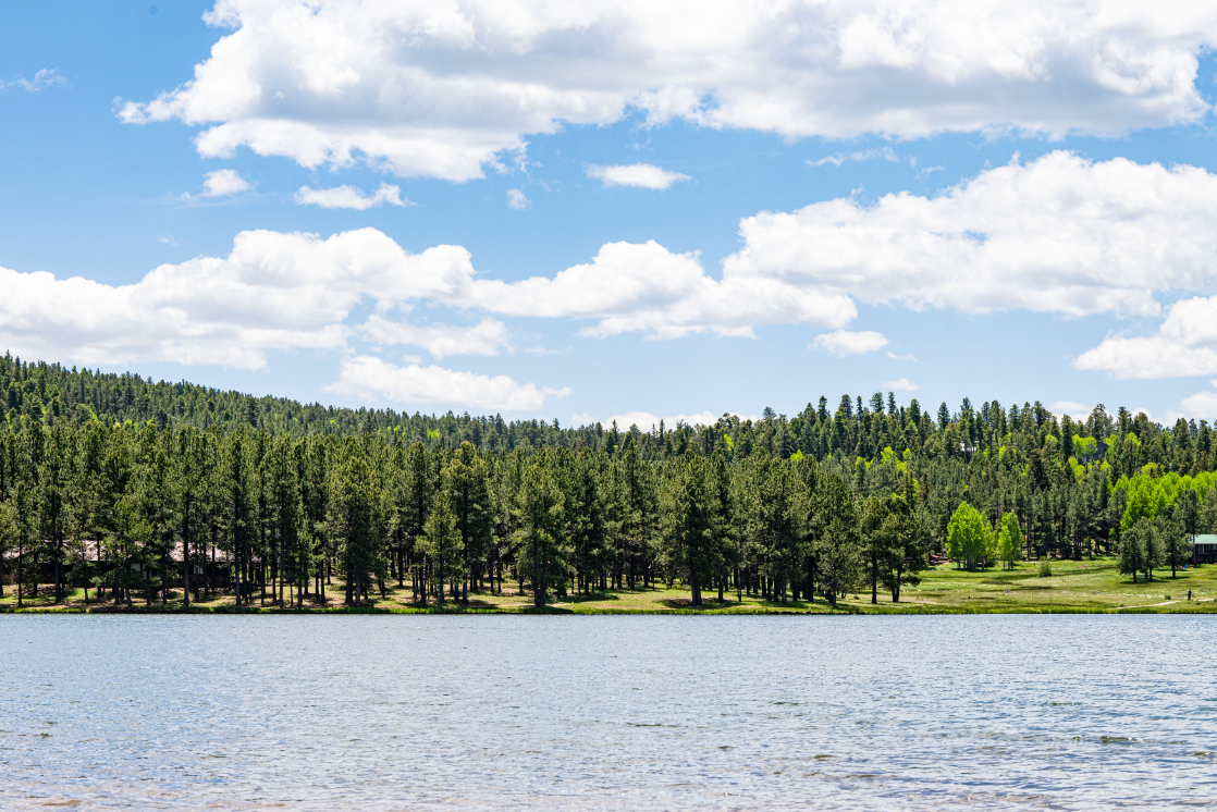 Unforgettable Moments at Monte Verde Lake