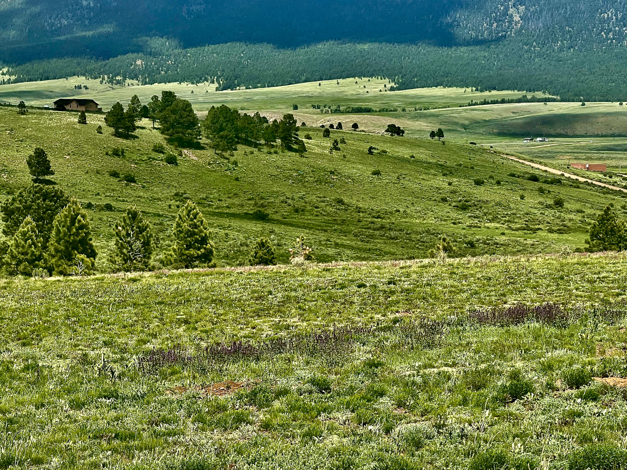Peak Performance: A Guide to the Best Angel Fire Rentals by Adventure Persona