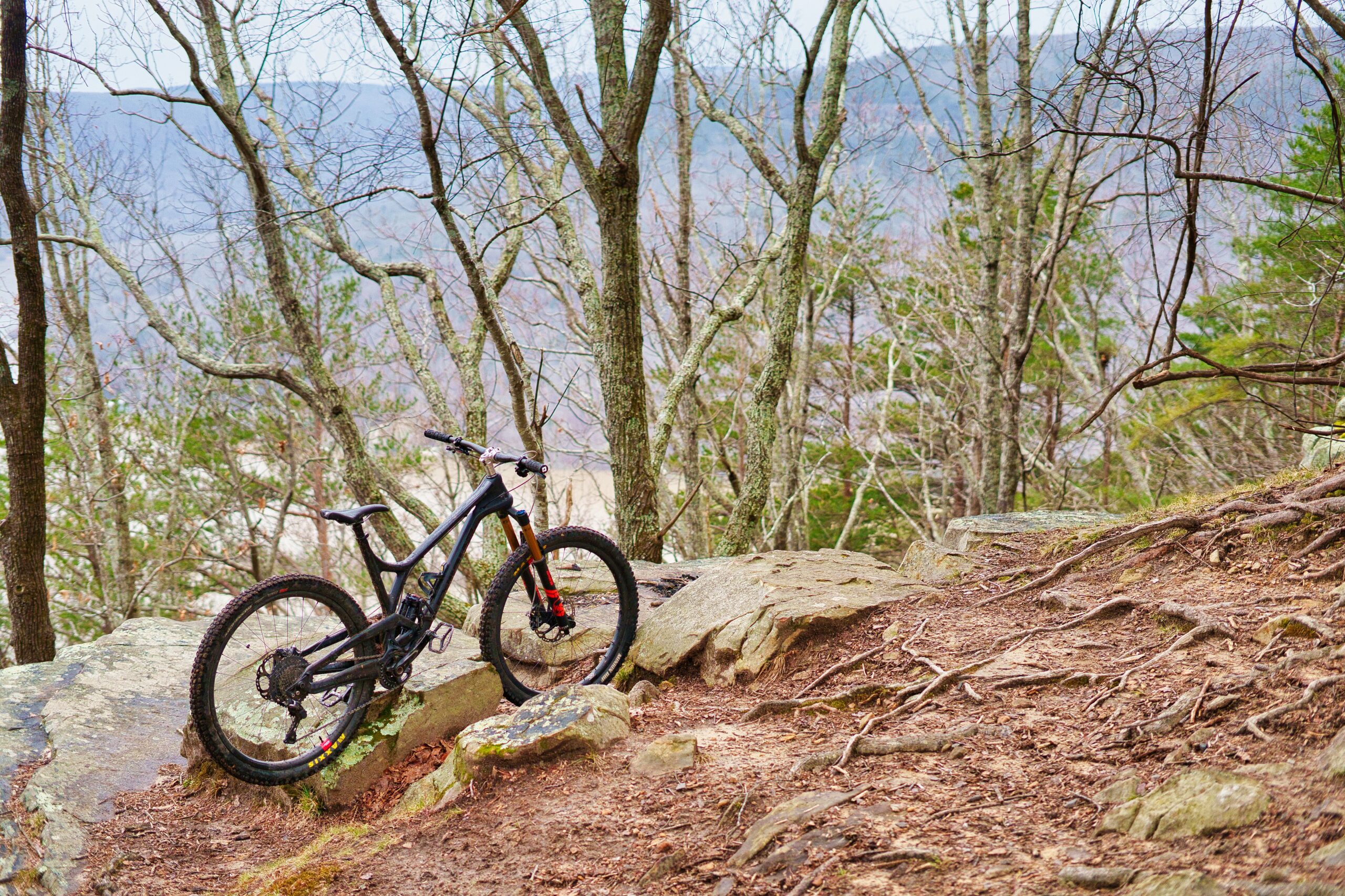 Downhill Thrills: The Ultimate Guide to the Angel Fire Bike Park This Summer